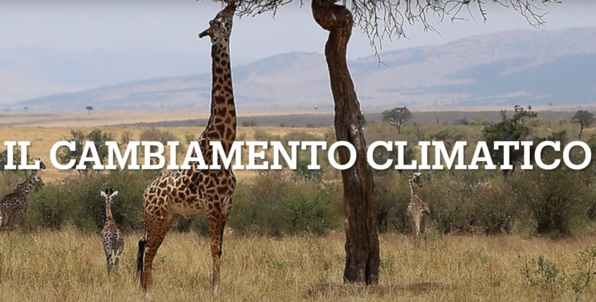 Il cambiamento climatico: salviamo il Pianeta Terra