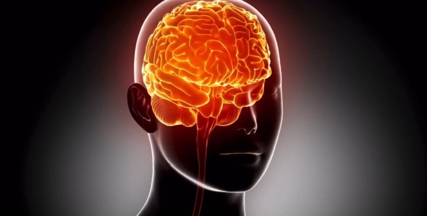 Studiare le lingue, una vera ricetta anti-aging